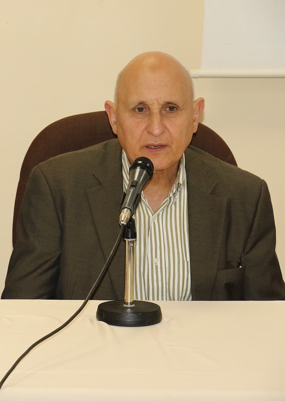أحمد المرزوقي