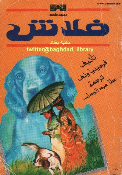 فلاش 
