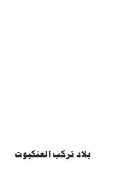 بلاد تركب العنكبوت