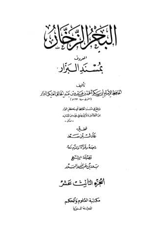 مسند البزار (الجزء الثالث عشر)